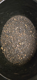Black Walnut (contains nuts)