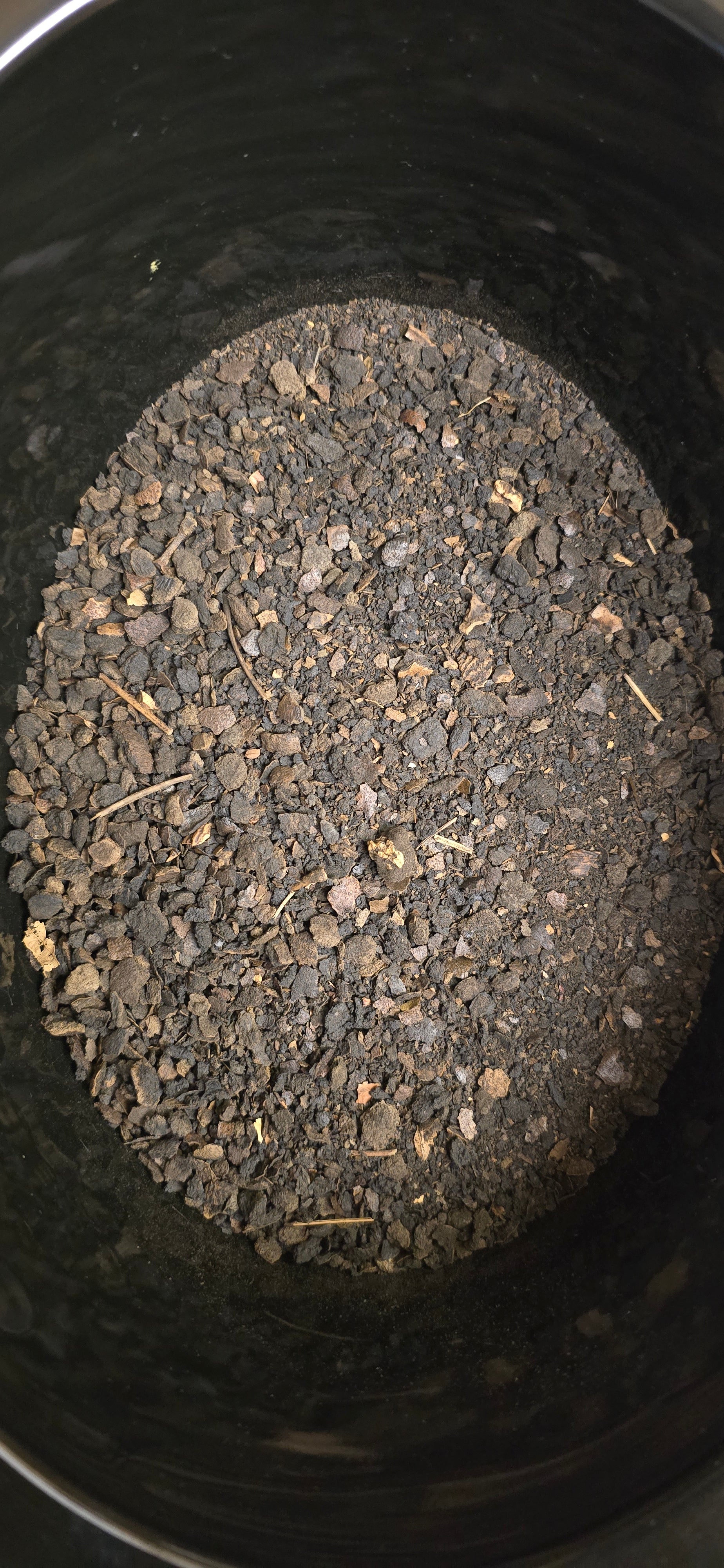 Black Walnut (contains nuts)